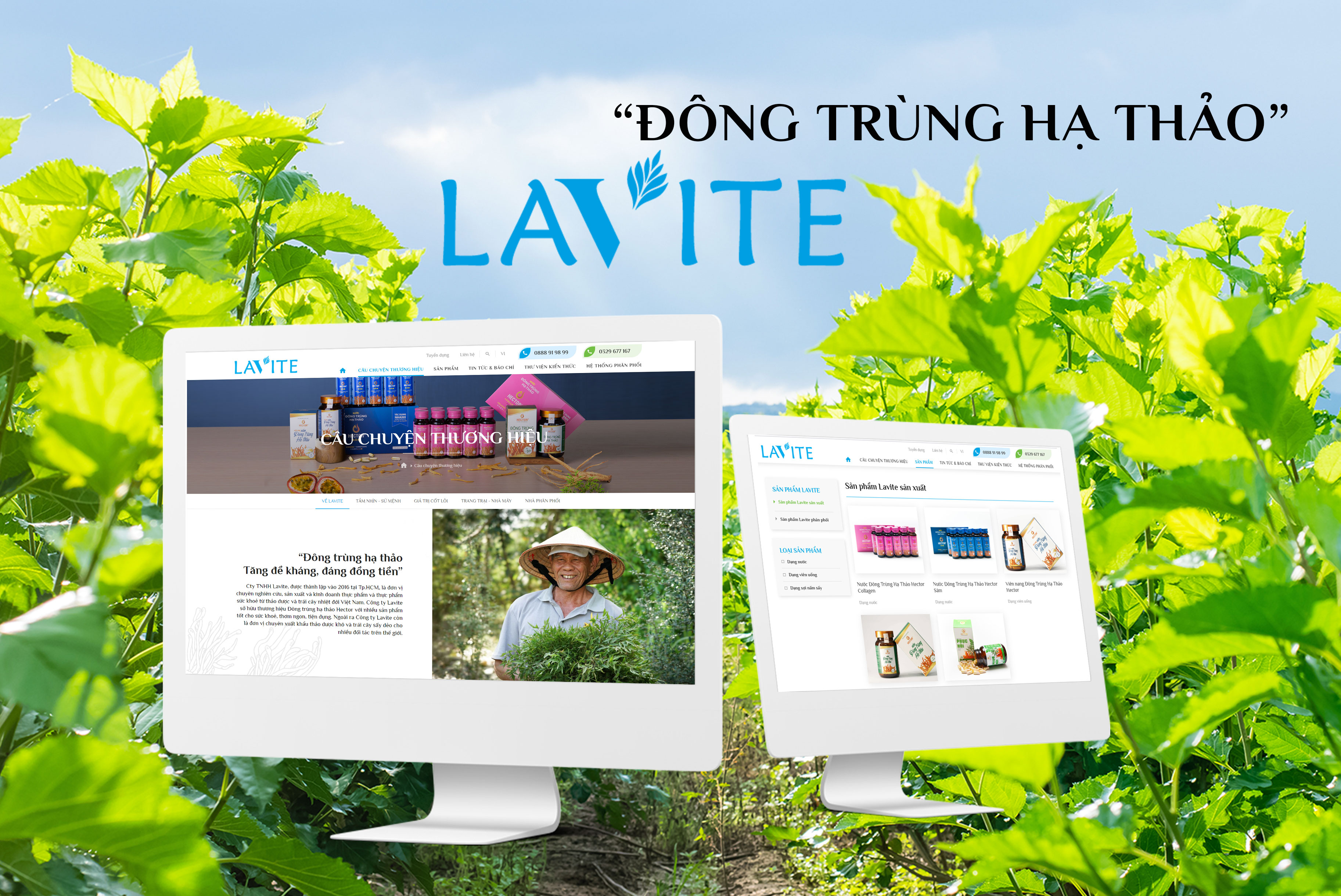 Lavite-thiet-ke-website-canh-cam-anh2